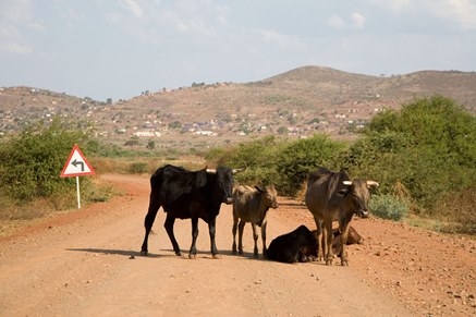 Kgautswane Traffic Control
